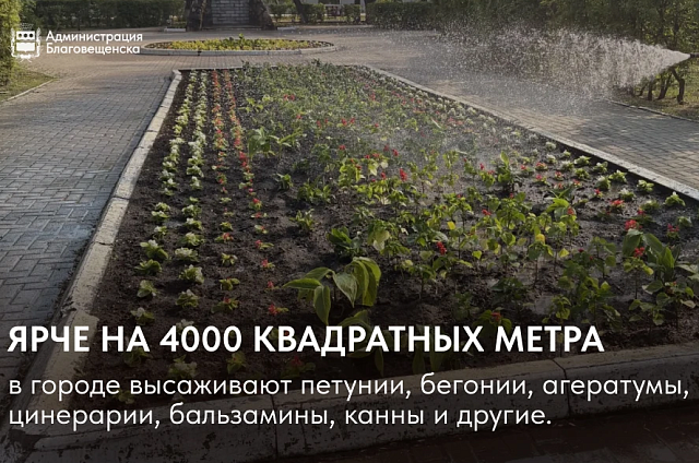 В Благовещенске высадят цветы на площади 4000 квадратных метров