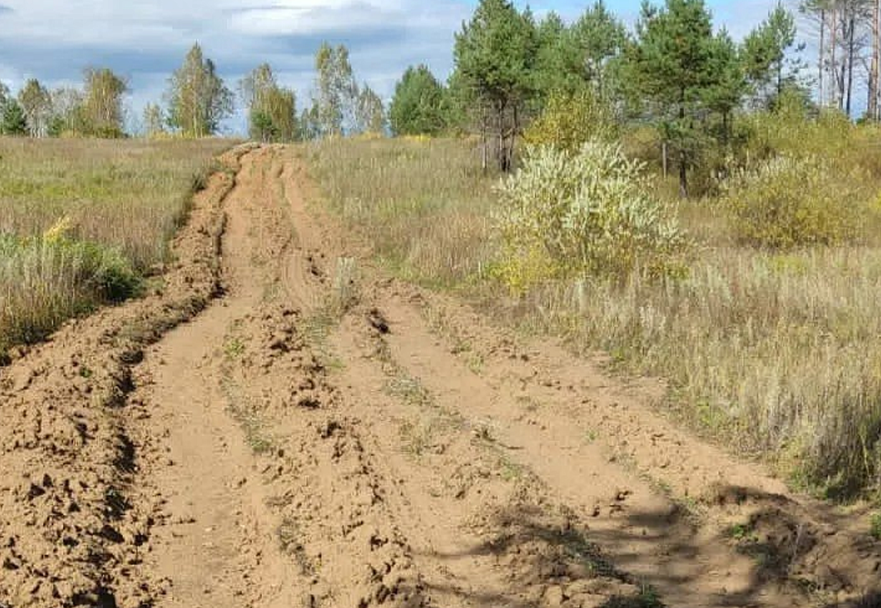 Фото: министерство лесного хозяйства и пожарной безопасности Амурской области