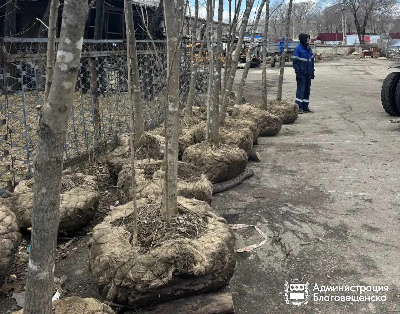 Фото: max.ru/blagoveshchensk_rf