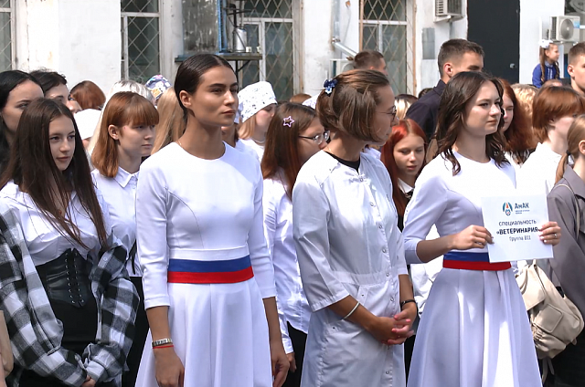 Количество бюджетных мест в российских колледжах увеличилось