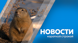 Новости короткой строкой. Амурчане обсудят областной бюджет. Ветераны СВО посетили занятия в Свободном. Задержали экстремиста. Поликлиника в Екатеринославке готова на 15%.