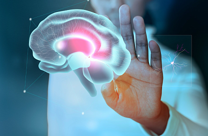 Специалисты неврологического центра имени Пирогова высоко оценили амурскую систему помощи пациентам