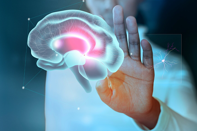 Специалисты неврологического центра имени Пирогова высоко оценили амурскую систему помощи пациентам