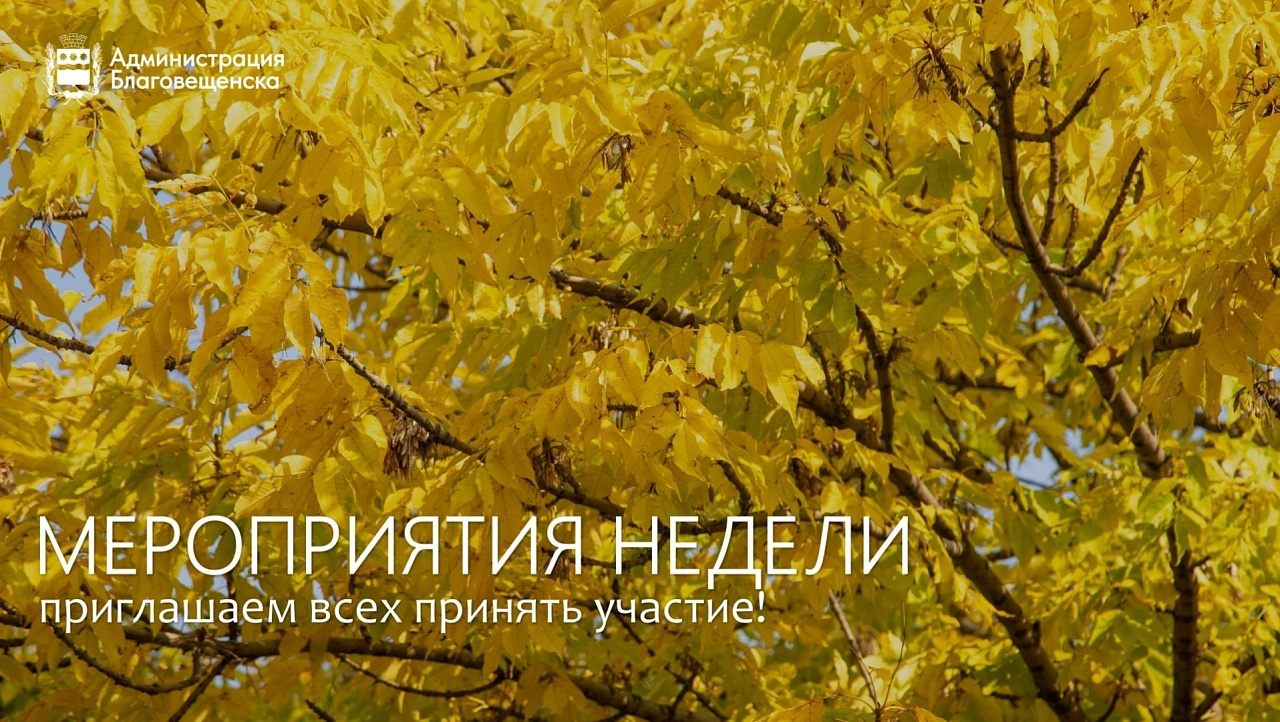 Фото: max.ru/blagoveshchensk_rf/AaDm_gOsDDw