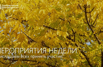 Кинопоказы, спектакли и курсы по видеосъёмке ждут благовещенцев этой на неделе
