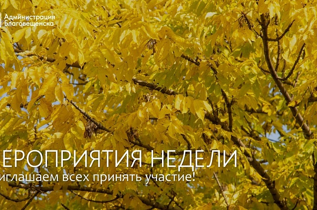 Кинопоказы, спектакли и курсы по видеосъёмке ждут благовещенцев этой на неделе