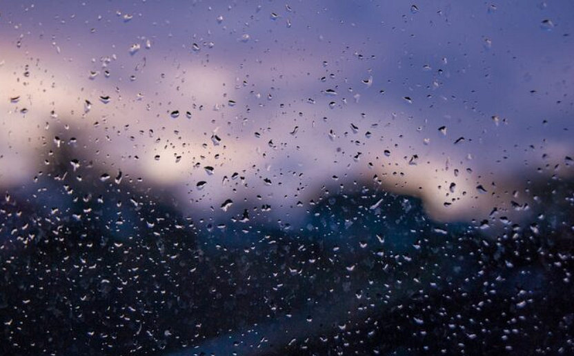 Фото: ru.freepik.com