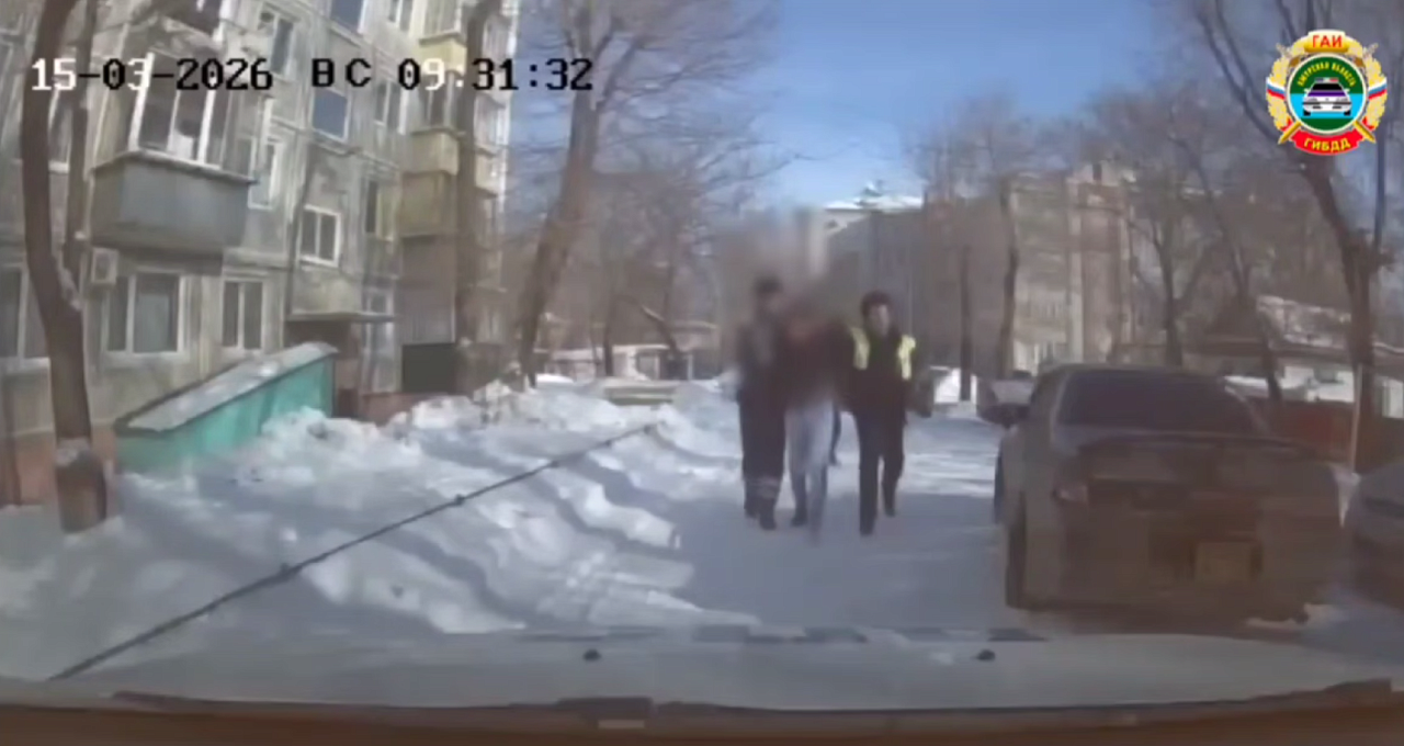 Фото: t.me/gibdd28