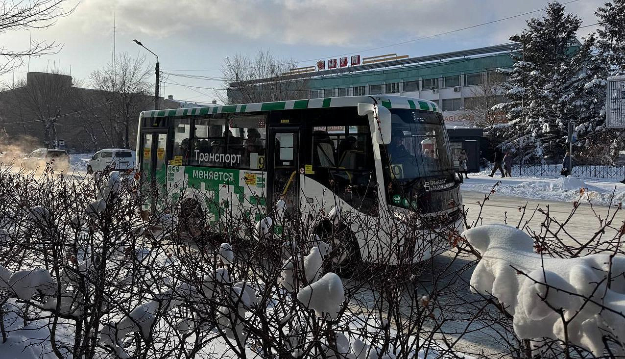 Фото: администрация Благовещенска