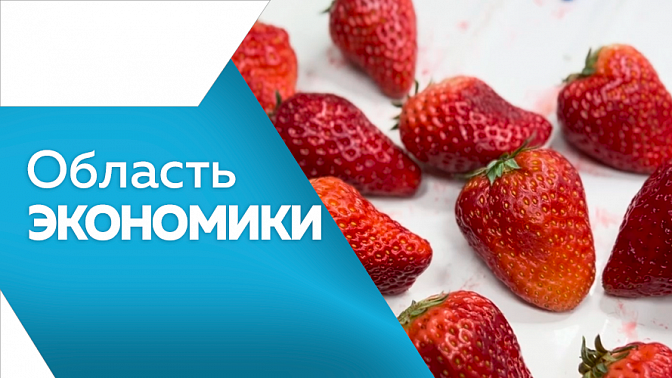 Область экономики. Амурским аграриям в этом году возместят более 40 миллионов рублей. В Приамурье завезли рекордное количество бананов, яблок и мандаринов из Китая. Улицы Свободного за три года заасфальтируют. 