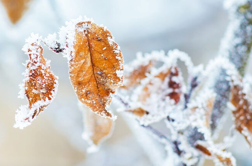 Фото: ru.freepik.com