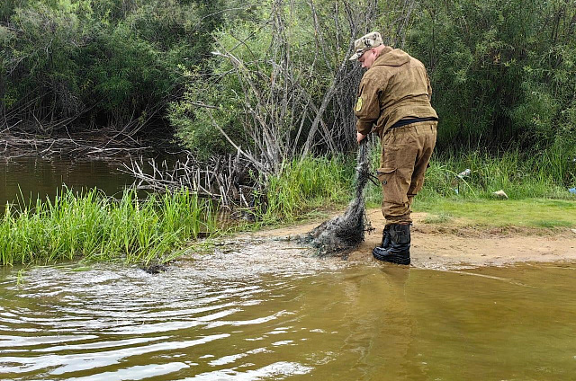 Из амурских водоёмов вытащили более километра рыболовных сетей