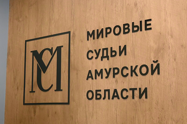 В Благовещенске подвели итоги работы фронт-офиса, который открыли в прошлом году