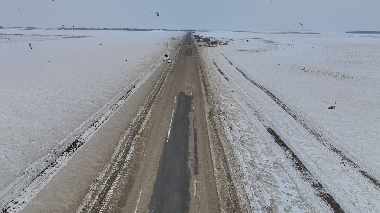 Фото: amurobl.ru