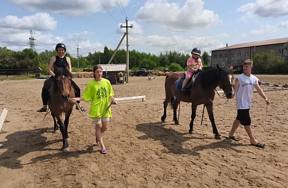 Иппотерапия для поддержки: в Приамурье пройдут занятия верховой ездой для семей участников СВО