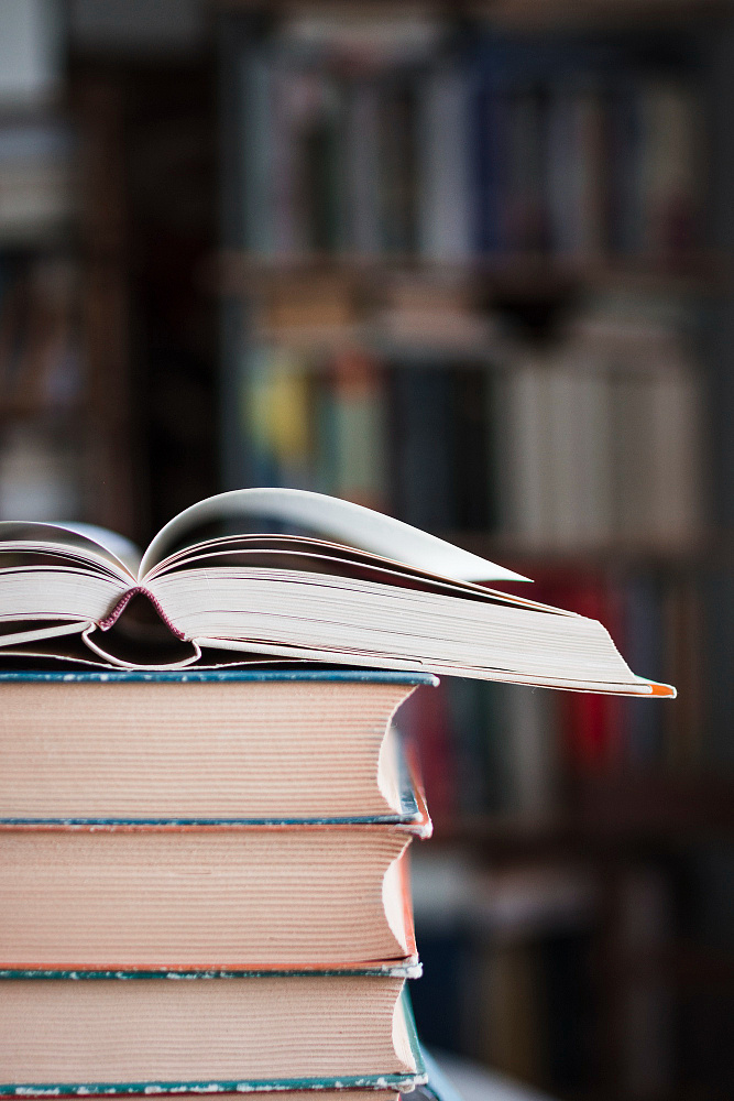 Фото: freepik.com