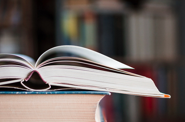 В Свободном открывают модельную библиотеку 