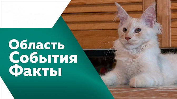 Область. События. Факты. Список получателей дальневосточной ипотеки в Приамурье расширят. Автобусы на эко-топливе появляются в Приамурье. Итоги пожароопасного сезона подвели а регионе.