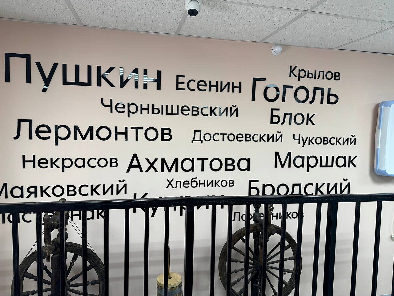 Фото: правительство Амурской области