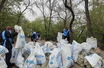 Более 1200 амурчан очистили 46 километров берегов в рамках акции «Вода России»