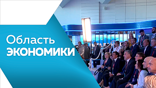 Область экономики. В областной столице продолжается приём заявок на подключение частных домов к газовым сетям. Международный аэропорт Благовещенск с 29 марта начал работу по сезонному расписанию. Начался приём заявок на выставку «Улица Дальнего Востока».