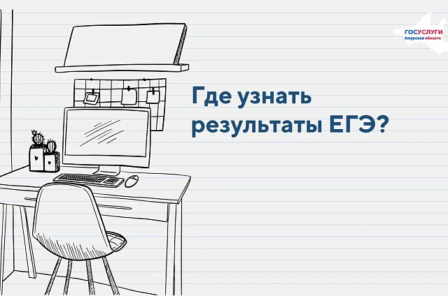 Амурские выпускники могут проверить итоги ЕГЭ не покидая дома