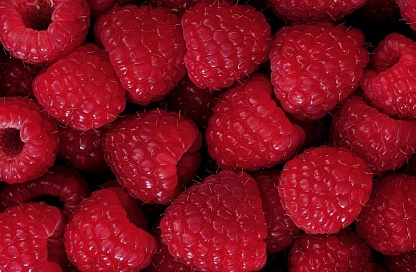 Импорт малины из Китая в Амурскую область вырос в 1,7 раза с начала года