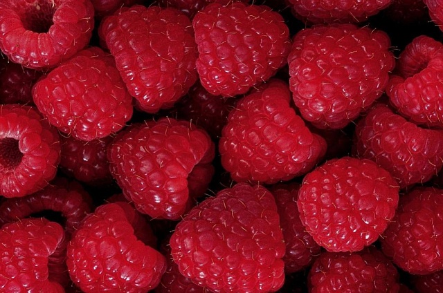 Импорт малины из Китая в Амурскую область вырос в 1,7 раза с начала года