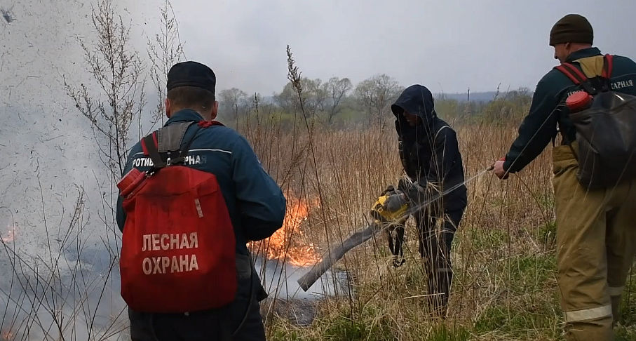 Фото: скриншот видео Амурский центр ГЗ и ПБ