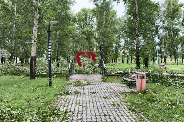 Ураганный ветер оставил без электричества большое количество амурчан