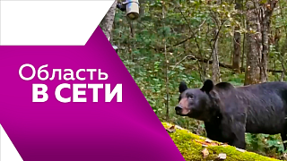 Область в сети. Эвенкийский фестиваль, шоу аллеи фонтанов, железные цветы.