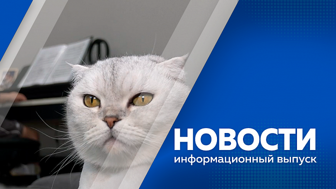 Новости. В Приамурье определили победителей областного этапа всероссийского конкурса «Семья года 2025». На тротуары нескольких перекрестков Благовещенска нанесли предупреждающие надписи. Тополиный пух, жара и май.