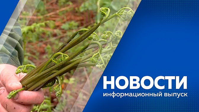 Новости. Визиты руководства Федерального агентства по недропользованию в регионы. Вопрос сложного автомобильного движения из-за ремонта дороги в районе аэропорта Благовещенска. В Амурской области завершается сезон сбора папоротника. 