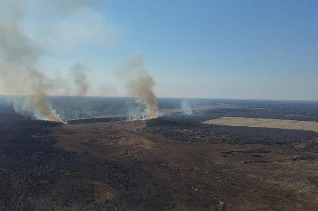 В четверг в Приамурье зафиксировали 9 природных пожаров