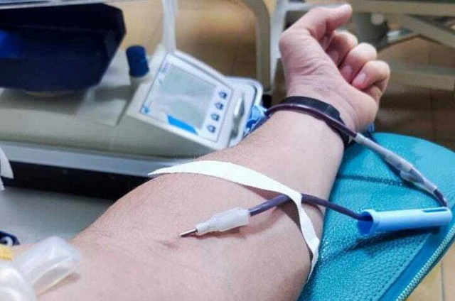 Почётными донорами Амурской области стали 32 человека