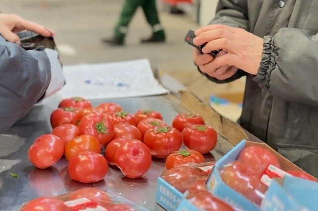 Более 2 тысяч грузовых машин с растительной продукцией прошли фитосанитарный контроль