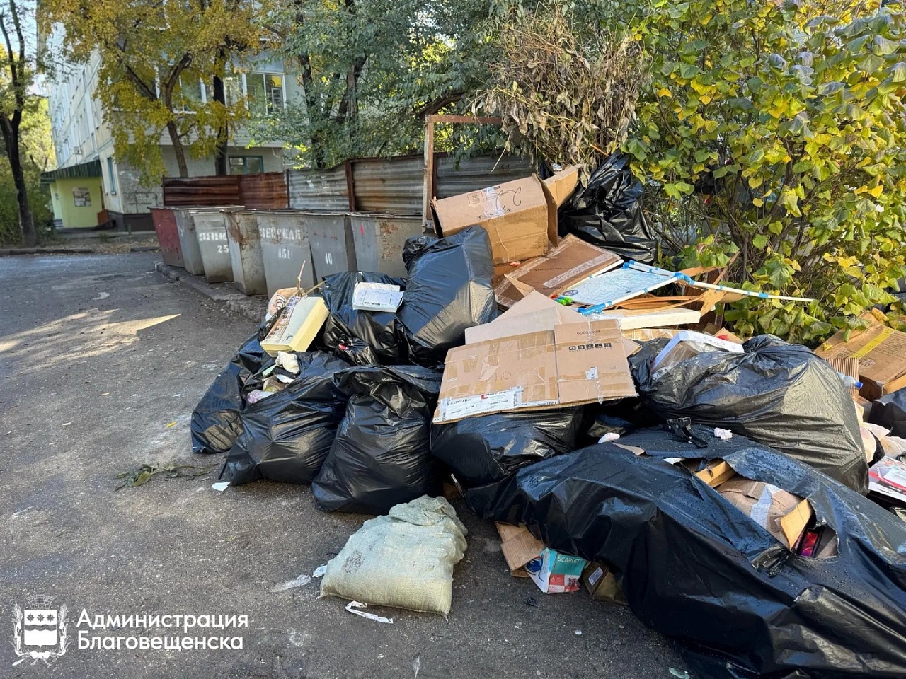 Фото: благовещенск.рф