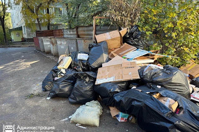 Жители Благовещенска жалуются на мусор у новых контейнерных площадок