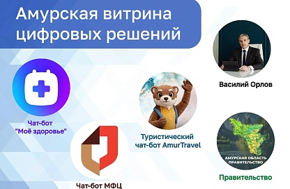 Всё в одном месте: в Приамурье запустили «цифровую витрину» официальных сервисов