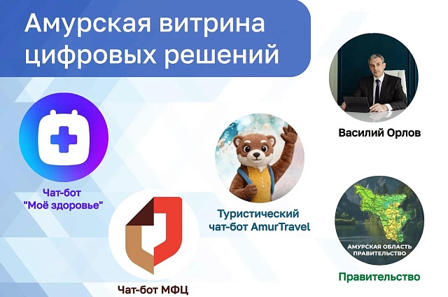 Всё в одном месте: в Приамурье запустили «цифровую витрину» официальных сервисов