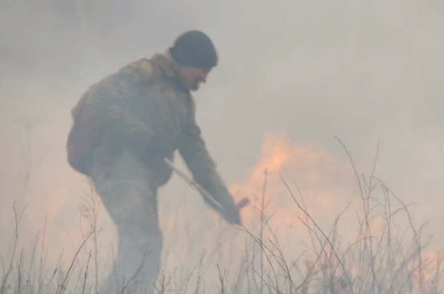 В среду в Приамурье зафиксировали два природных пожара на общей площади 17 гектаров