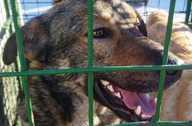 Фото: пресс-служба администрации Благовещенска