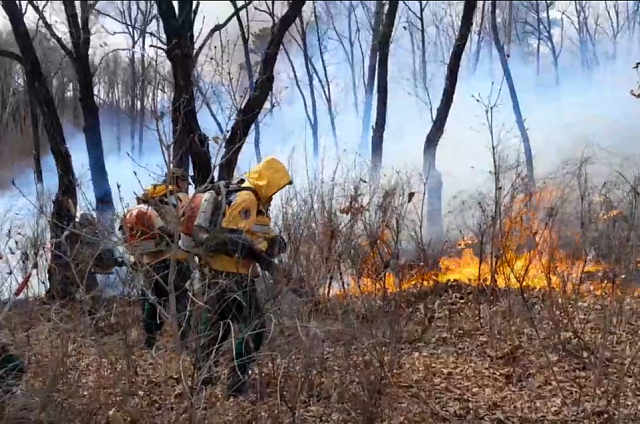 Амурские спасатели тушили природный пожар в районе Белогорья