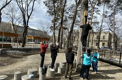 «170 добрых дел»: в сквере Водников в Благовещенске повесили скворечники