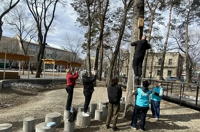 «170 добрых дел»: в сквере Водников в Благовещенске повесили скворечники