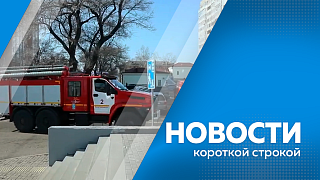 Новости короткой строкой. В Приамурье стартовал приём заявок на конкурс «Лучший по профессии». Проезд на участках дорог восстановили в Свободненском округе. Тренировочный экзамен по обществознанию написали около 800-т девятиклассников. 