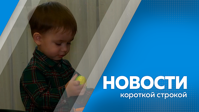 Новости короткой строкой. В Белогорске сформировали 55 земельных участков для бесплатного предоставления многодетным семьям. В Благовещенске расширили парк общественного транспорта. Ещё 8 школ Благовещенска получат автоматы с готовой едой. 