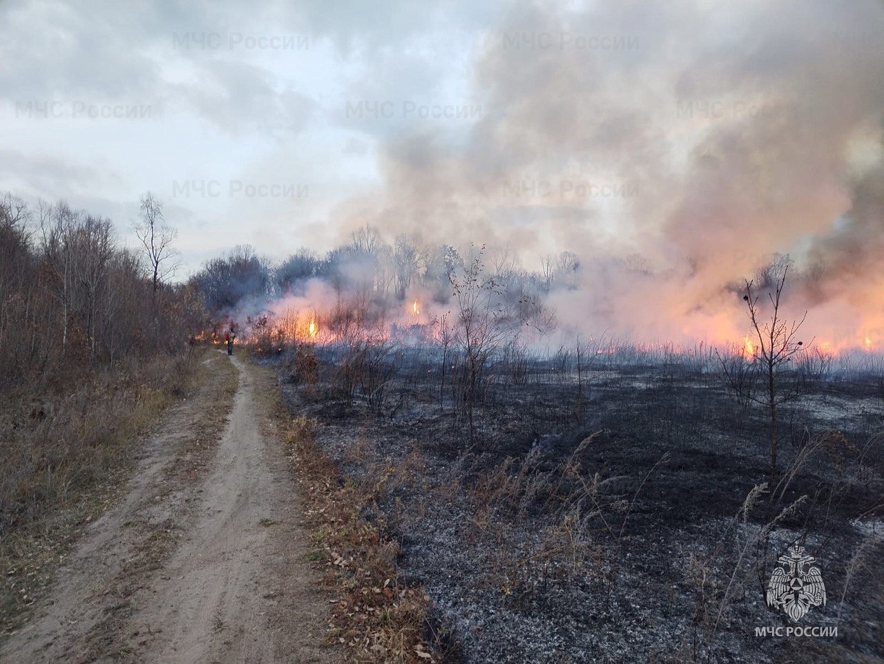 Фото: ГУ МЧС России по Амурской области