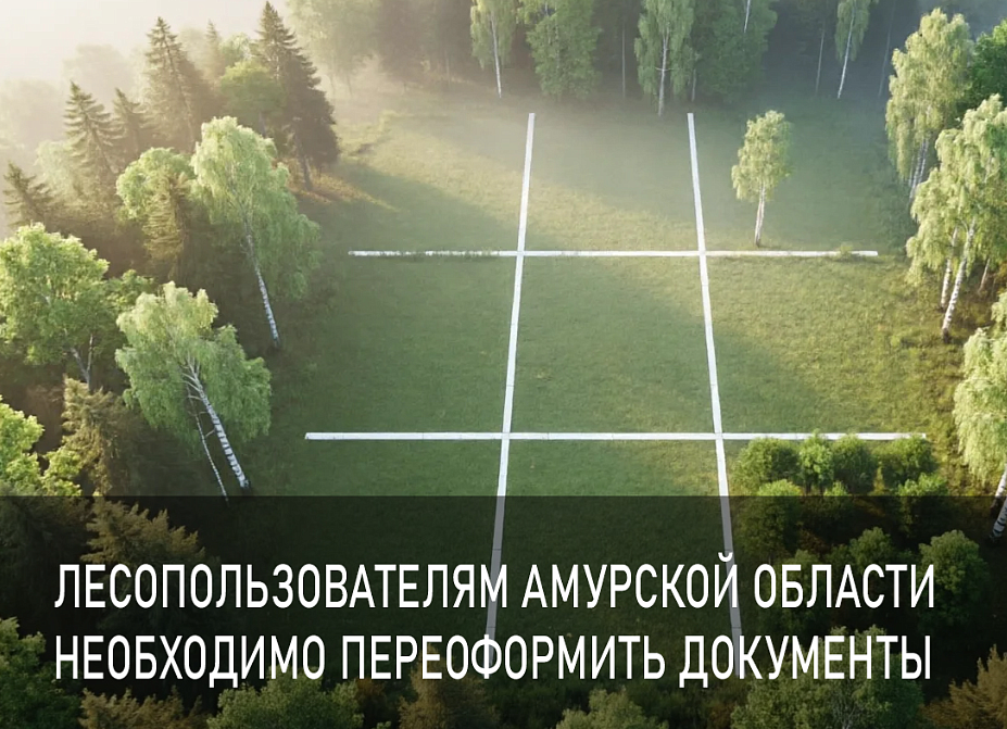 Фото: minlhpb.amurobl.ru