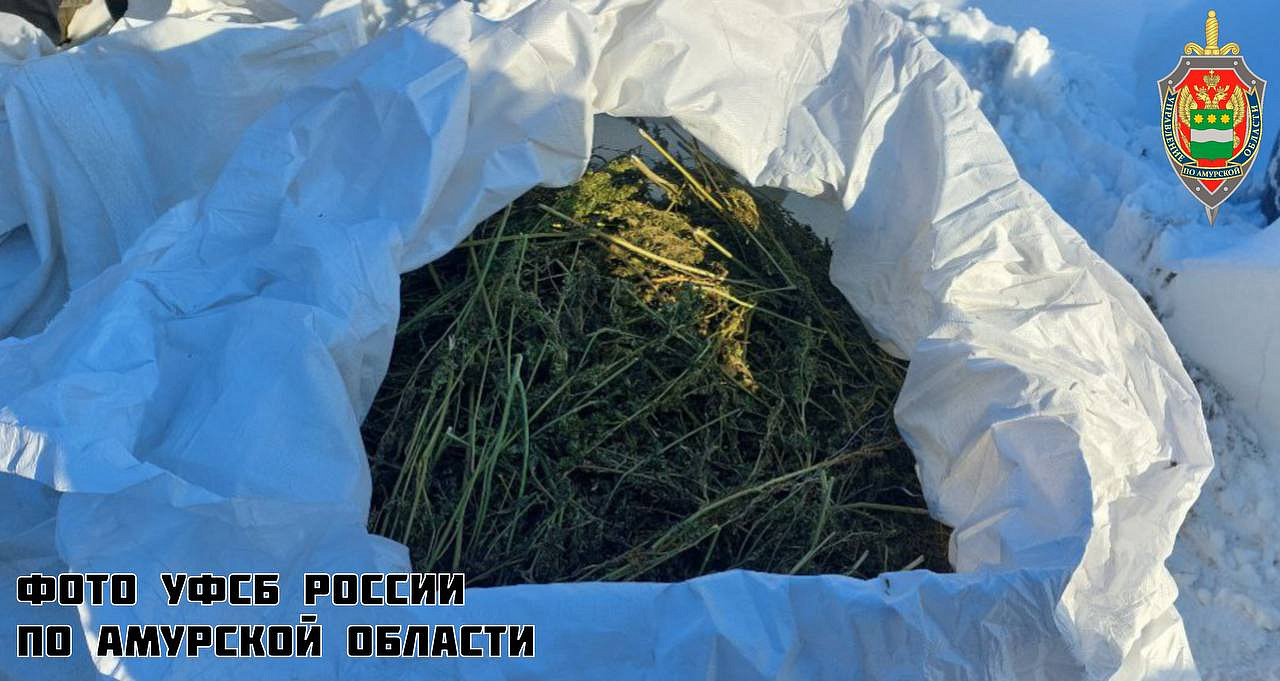 Фото: УФСБ России по Амурской области